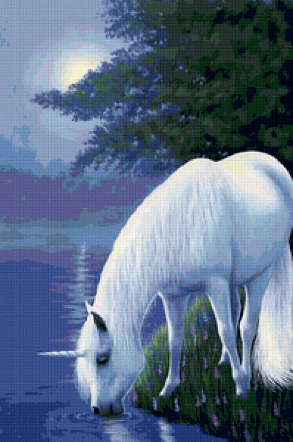 №145982 - предпросмотр