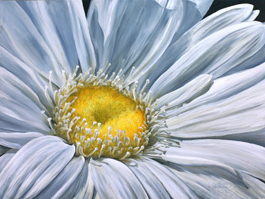 daisy - оригинал