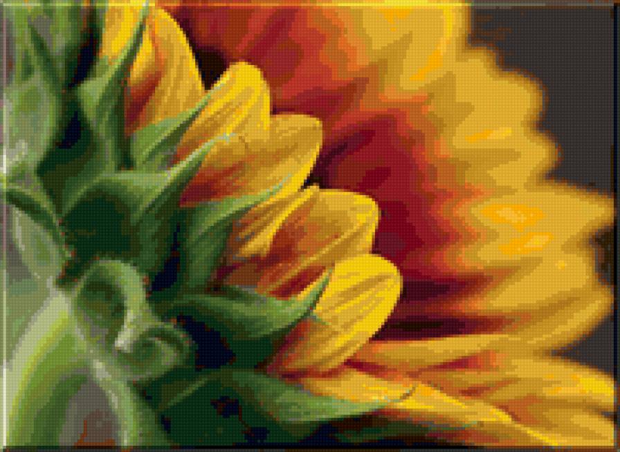 подсолнух - цветы, подсолнух - предпросмотр