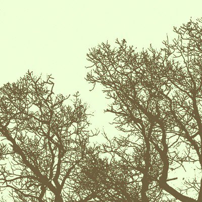 №146259 - оригинал