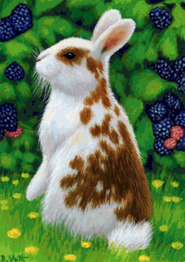 №146472 - предпросмотр