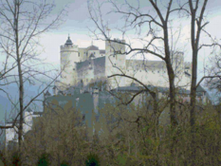 Samok - предпросмотр