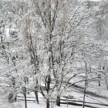 Схема вышивки «зима»