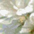 Предпросмотр схемы вышивки «колибри и цветы» (№146726)