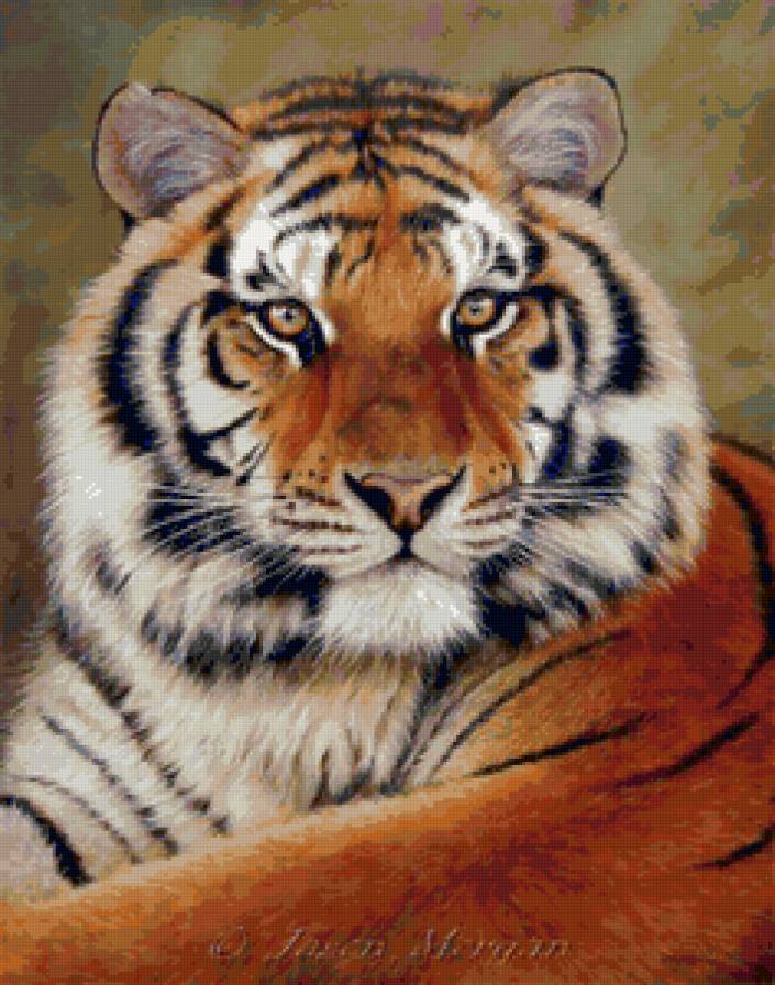 тигр - природа, тигр, животные - предпросмотр