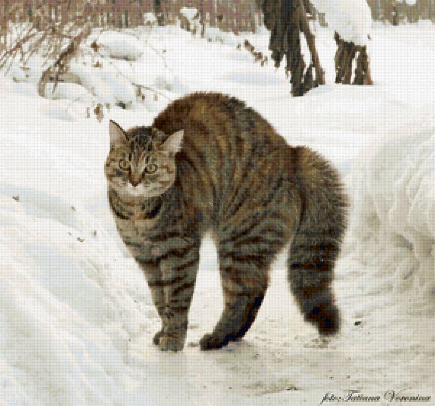 котейка 2 - кошки - предпросмотр