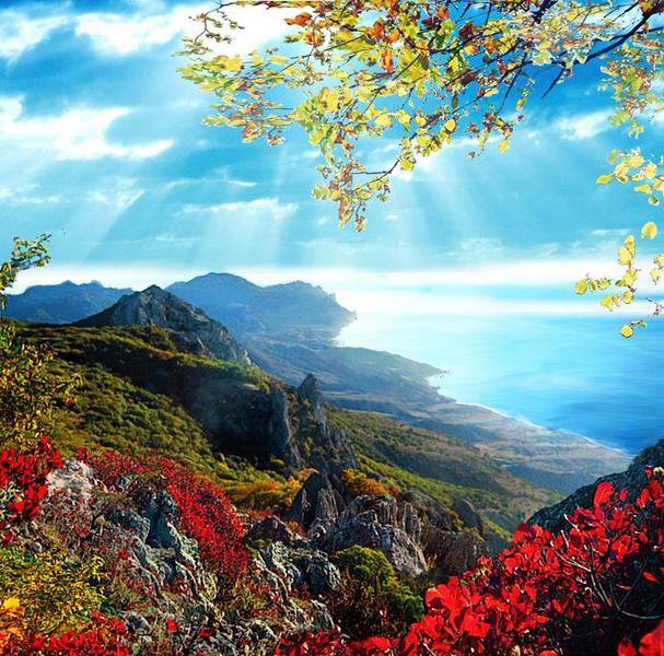 nature - оригинал