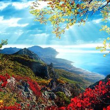 Схема вышивки «nature»