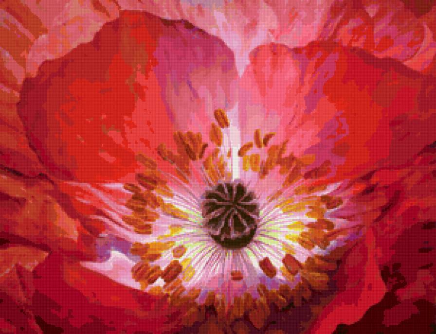 flower - предпросмотр