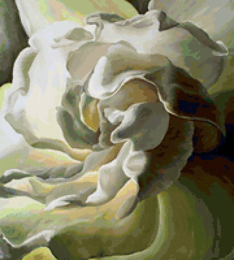 flower - предпросмотр