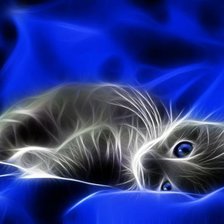 Оригинал схемы вышивки «котенок на синем» (№147285)
