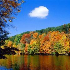 Схема вышивки «КРАСКИ ОСЕНИ»