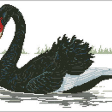 Оригинал схемы вышивки «черный лебедь» (№147482)