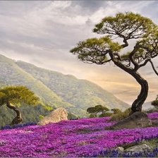 Схема вышивки «ДЕРЕВО»