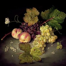 STILL LIFE- MIXED GRAPES AND PEACHES  OIL ON CANVAS