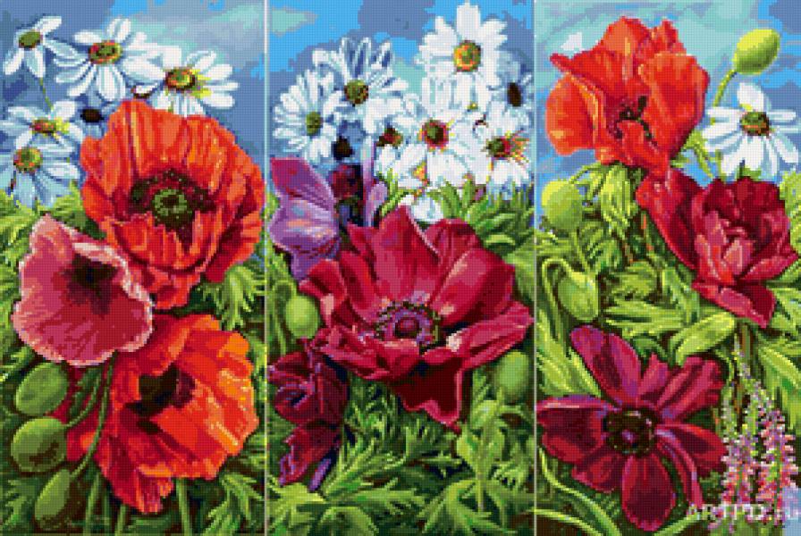 полевые цветы - ромашки, живопись, мак, пейзаж, триптих, маки, природа - предпросмотр