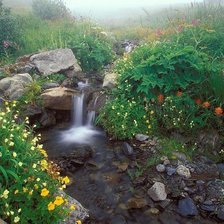 Схема вышивки «РУЧЕЙ»