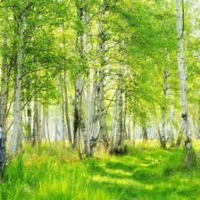 Схема вышивки «ВЕСНА»