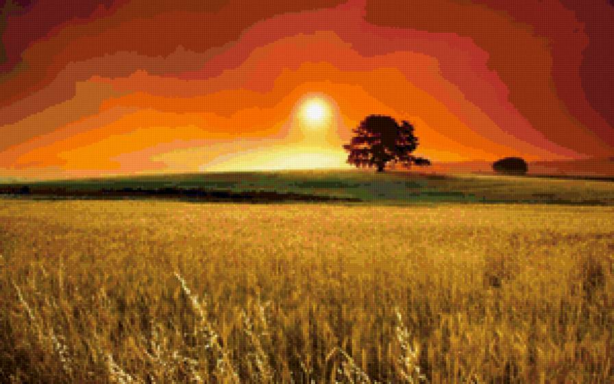 ЗОЛОТОЙ ЗАКАТ - предпросмотр