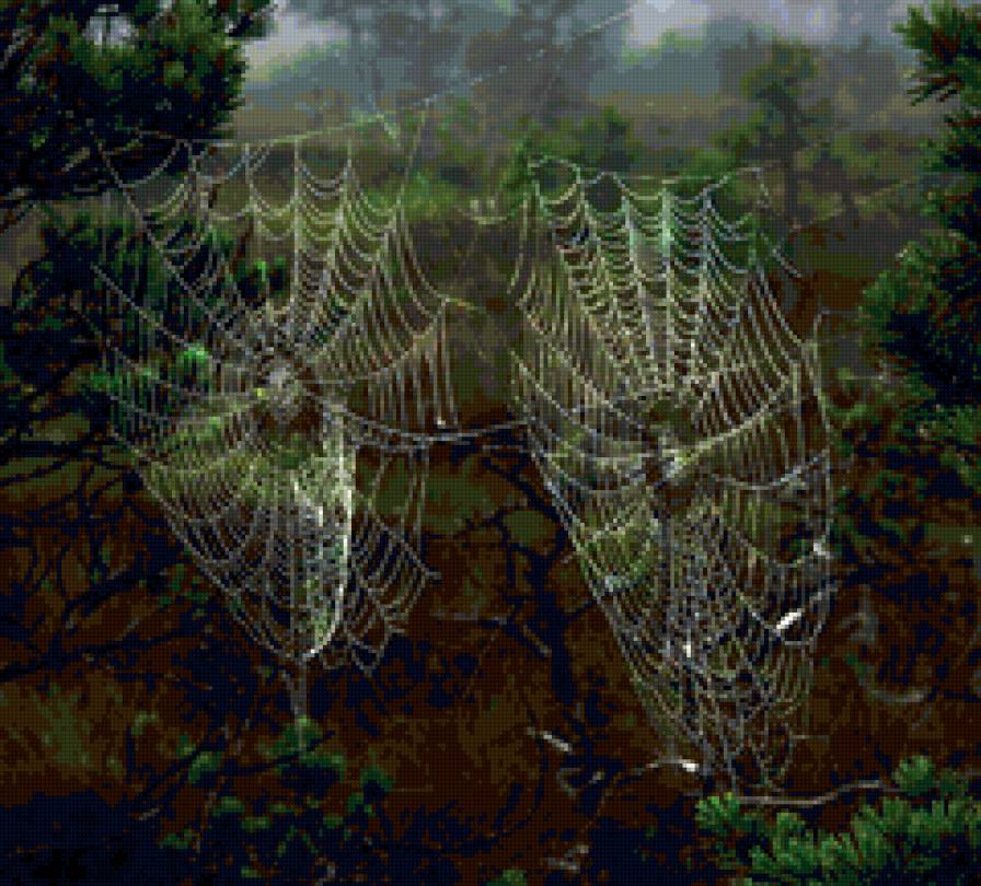 nature - предпросмотр