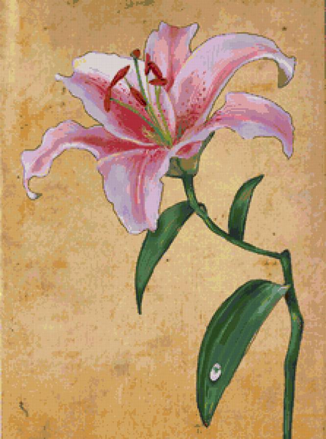 лилия - цветок, лилии, растения, картина, природа, цветы - предпросмотр