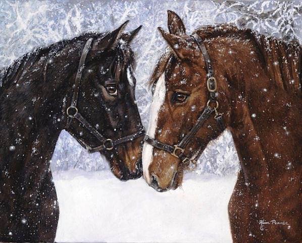 лошадки - лошади, снег, лошадь, животные, кони, любовь, зима - оригинал