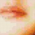 Предпросмотр схемы вышивки «Ренесми» (№147941)