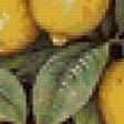 Предпросмотр схемы вышивки «Лимон в старом горшке» (№148037)