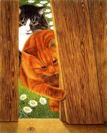 Любопытство - кошка, животные, кот - оригинал