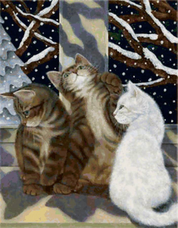 Трио - окно, кошка, кот, животные - предпросмотр