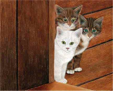 Ку-ку! - кошка, кот, животные - оригинал