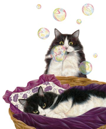Мыльные пузыри - кошка, животные, кот - оригинал