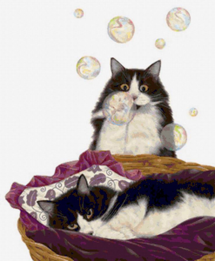 Мыльные пузыри - кошка, кот, животные - предпросмотр
