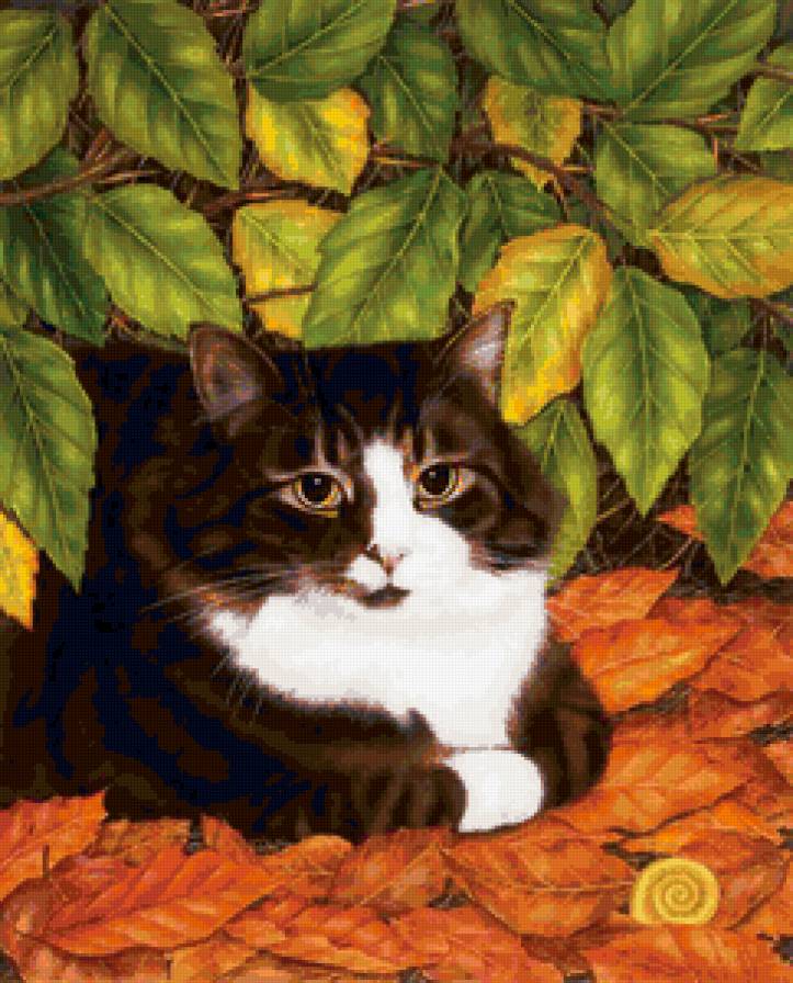 Осенний кот - животные, кошка, кот - предпросмотр