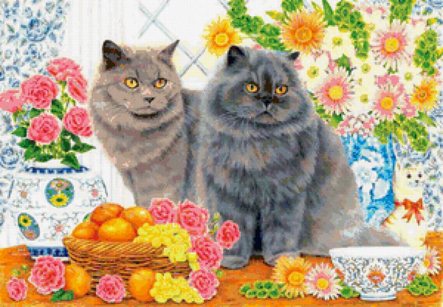 Серики - животные, кот, кошка, цветы - предпросмотр