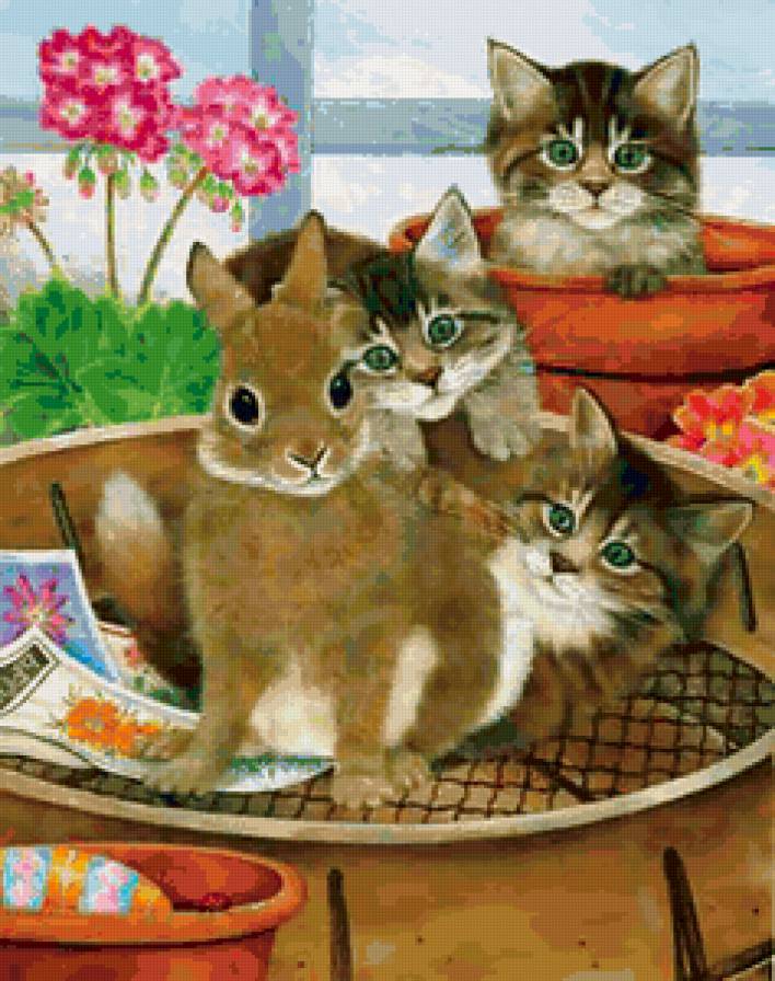 Кто лишний? - кошка, животные, кролик, кот, зайка, заяц - предпросмотр