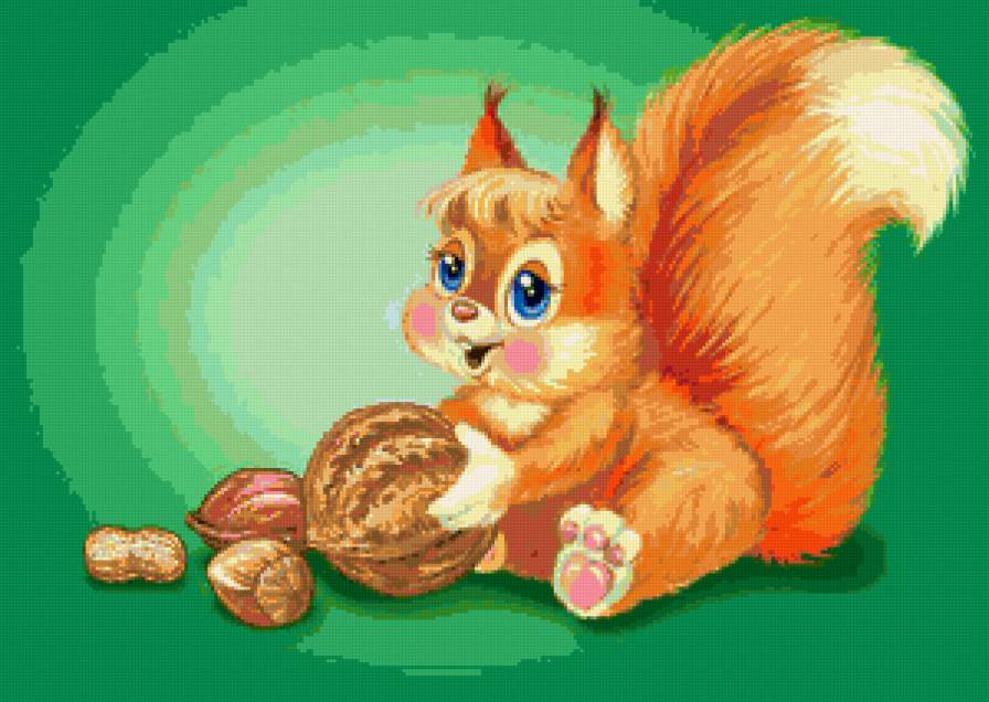 Белочка - белки - предпросмотр