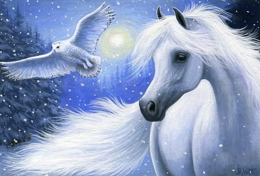 Сова и белая лошадь - лошадки, лошадь, зима, кони, животные, совы, фантазия - оригинал