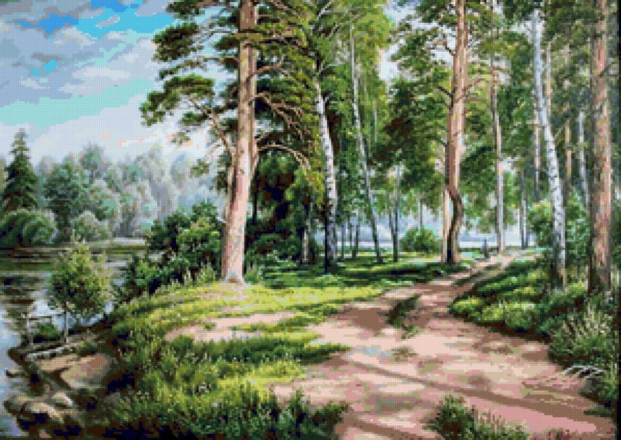 Лесные тропинки - тропинки, красота природы, березки, лето, пейзаж, лес - предпросмотр