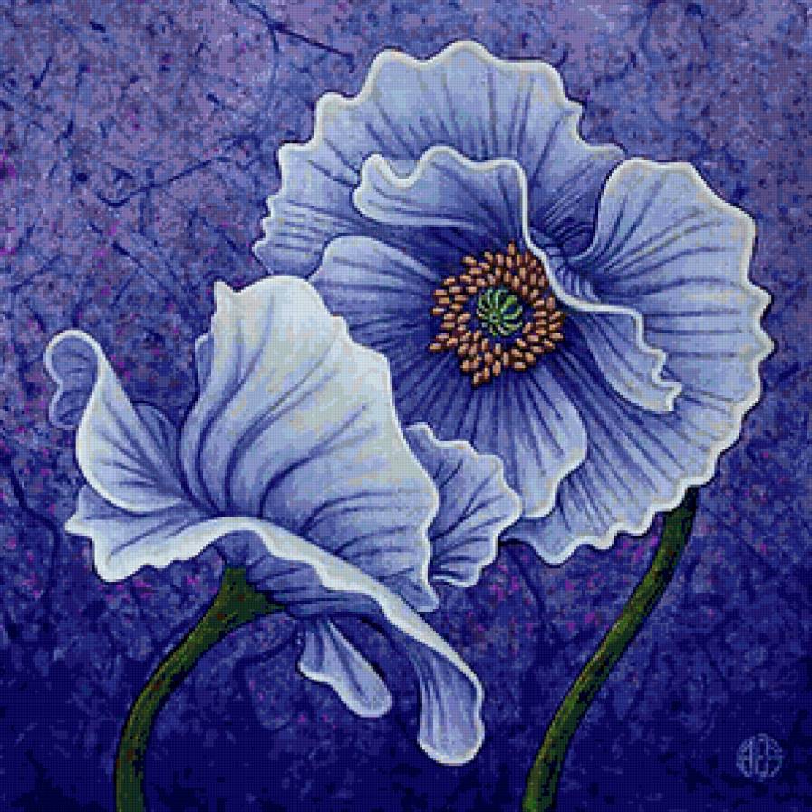 №148436 - предпросмотр