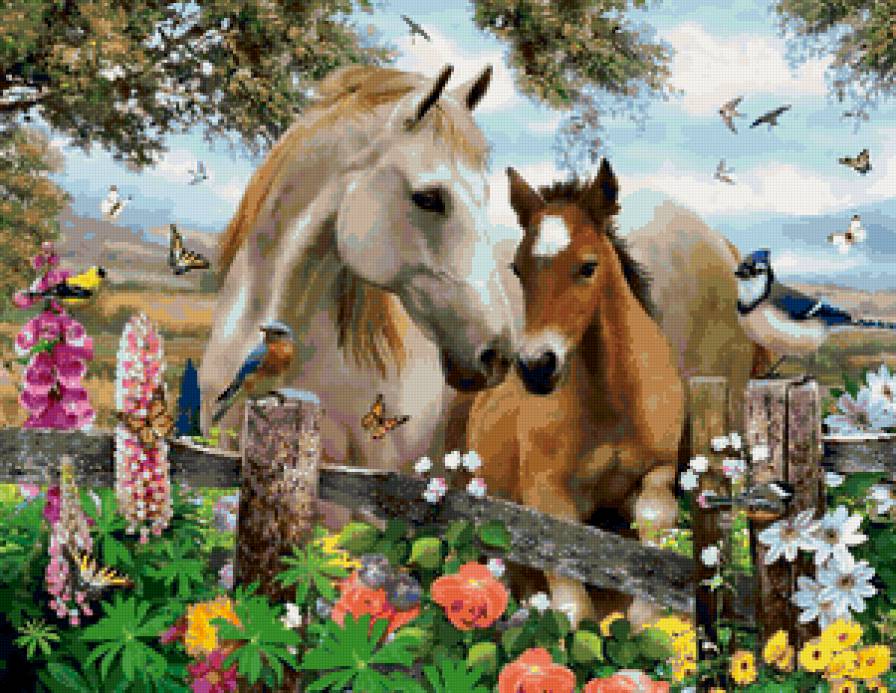 horses - предпросмотр