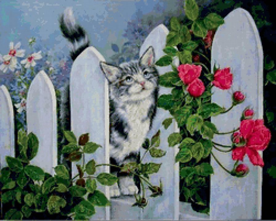 cat - предпросмотр