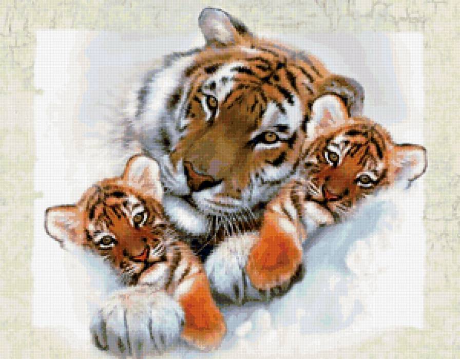 tiger family - предпросмотр