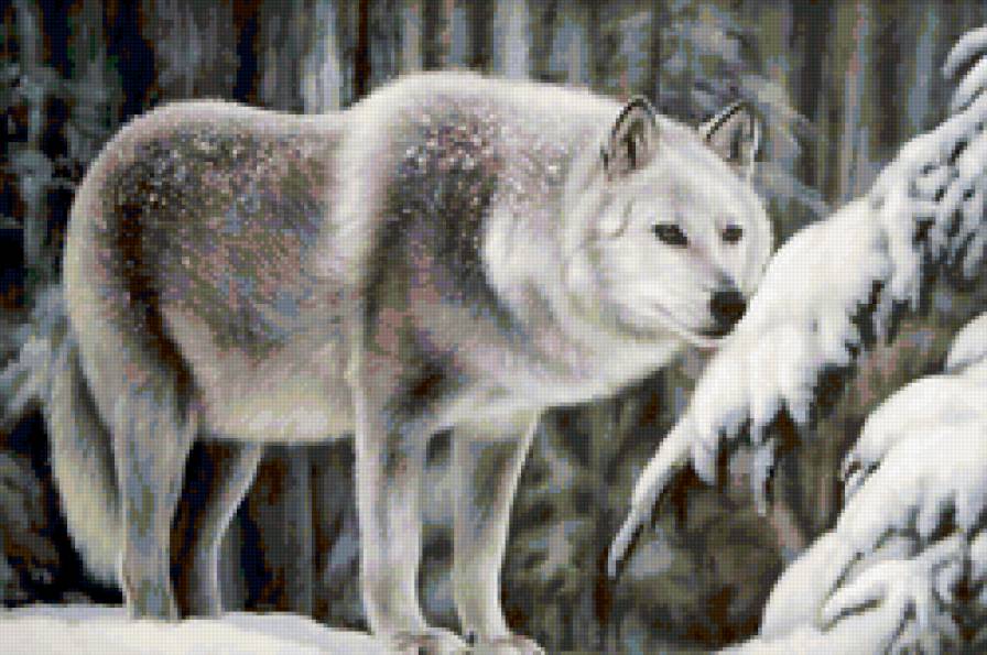 winter - предпросмотр