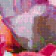 Предпросмотр схемы вышивки «яркие тюльпаны» (№148557)