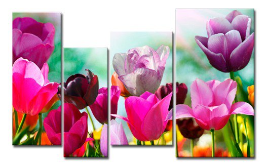 яркие тюльпаны - модульная картина - оригинал
