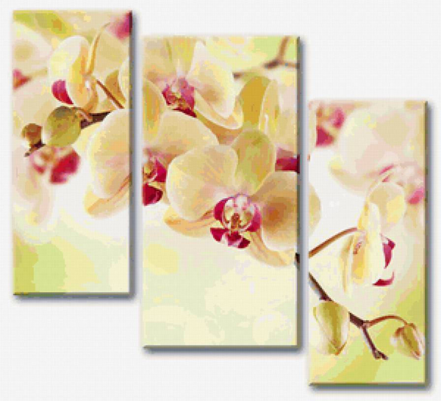 желтая орхидея - модульная картина - предпросмотр