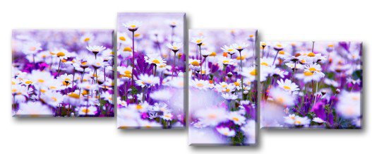 полевые цветы - модульная картина - оригинал