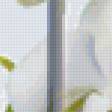 Предпросмотр схемы вышивки «весенние орхидеи» (№148576)