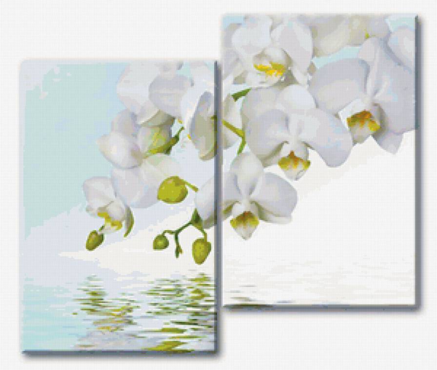 весенние орхидеи - модульная картина - предпросмотр